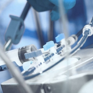 2024ϺHt(y)еչ[Ϻչ[^¡e